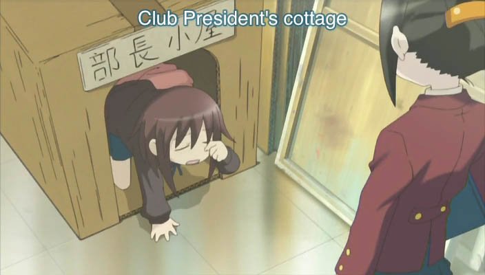 What have you done?