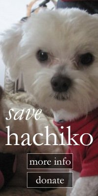 Save Hachiko!