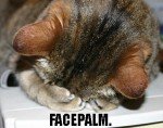 catfacepalm